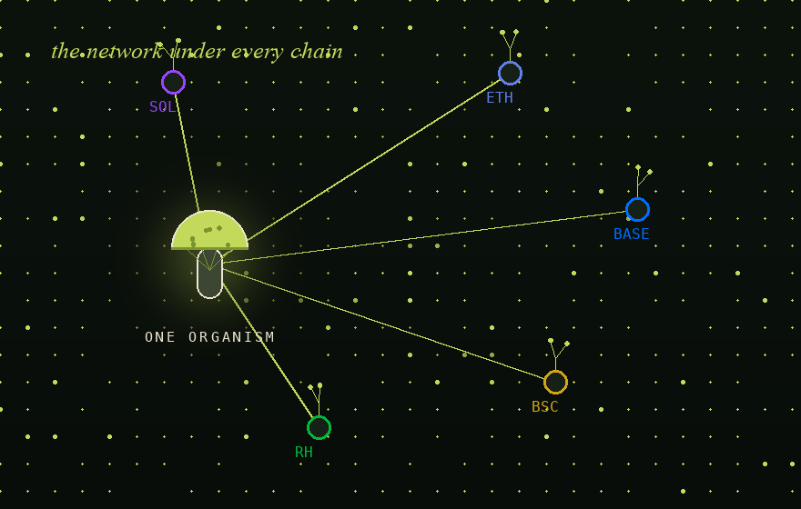 One organism, five chains